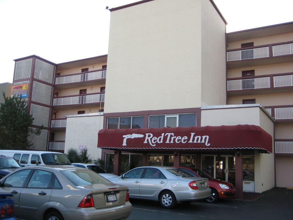 Motel Oasis