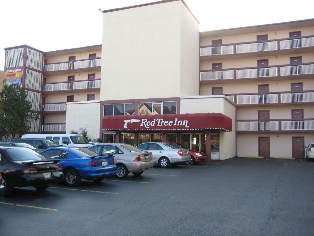 Oasis North Myrtle Beach