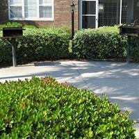 Barefoot By Myrtle Grand Vacations Hotel North Myrtle Beach