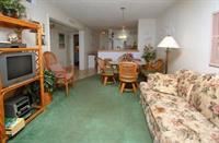 Hotel Units At Palmwood By Elliott