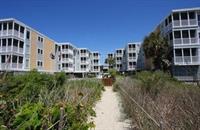 Units At Palmwood By Elliott 3*